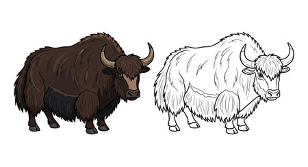 Yak Coloring Page with One Colored and One Line Art Animal for Mountain Wildlifeのイラスト素材