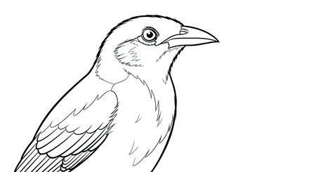 Intricate Alert Mynah Bird Profile Detailed Coloring Page for Adults and Bird Enthusiastsのイラスト素材
