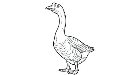 Engaging Active Asian Goose Standing Detailed Coloring Page for Adults and Art Enthusiastsのイラスト素材