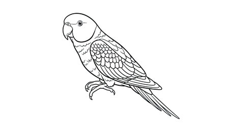 Charming Playful Indian Parakeet Perching Detailed Coloring Page for Adult Bird Loversのイラスト素材