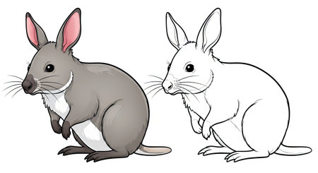 Greater Bilby Coloring Page with Full Color and Outline Bilby for Educational Funのイラスト素材