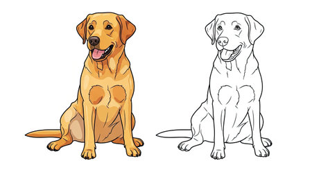 Labrador Retriever Coloring Page with Realistic Full Color and Clean Outline Funのイラスト素材