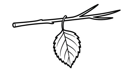 Scenic Autumn Tree Branch with Hanging Leaf Relaxing Adult Coloring Page Designのイラスト素材