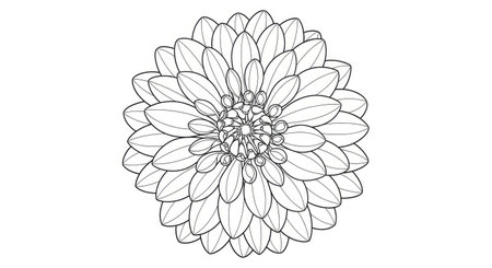 Intricate Blooming Dahlia Top View Adult Stress Relief Coloring Sheet Floralのイラスト素材