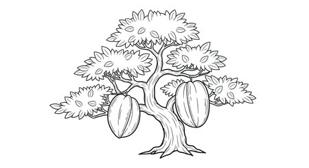 Intriguing Starfruit Bonsai Tree Angular Canopy Adult Coloring Page Creative Artのイラスト素材