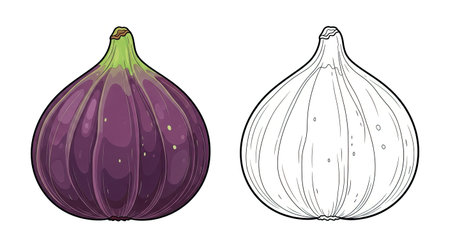 Fig Coloring Page with One Colored and One Outline Fruit Image for Kids Learningのイラスト素材