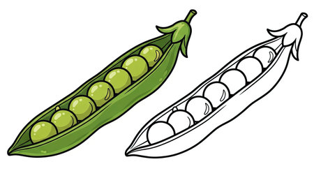 Green Pea Pods Coloring Page with Full Color and Outline Vegetable Art Kids Activityのイラスト素材