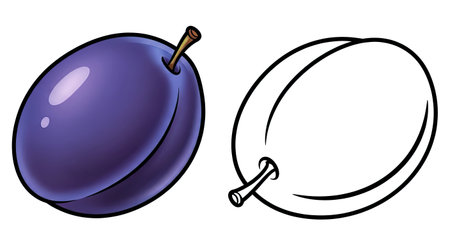 Plum Fruit Coloring Page with Colored and Outline Illustration for Kids Learningのイラスト素材