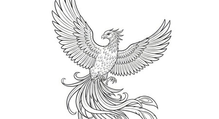 Phoenix in Mid Flight Majestic Bird Coloring Page for Adults Mythical Creature Artのイラスト素材