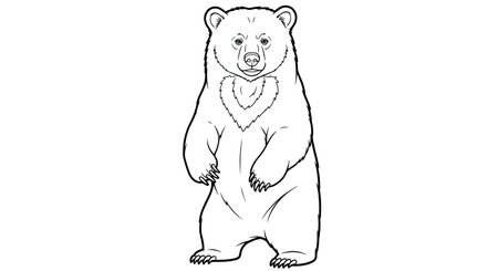 Sun Bear Standing Upright Detailed Wildlife Coloring Page for Adults Engaging Art Activityのイラスト素材