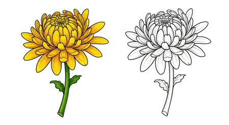 Cartoon Chrysanthemum Coloring Page for Children Garden Flower Funのイラスト素材