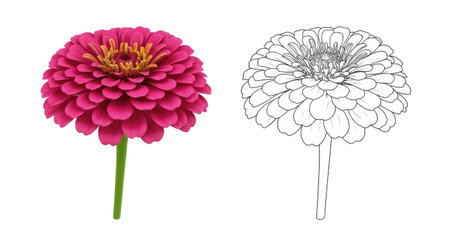 Adorable Cartoon Zinnia Flower Coloring Page for Kids Outline Fun Activityのイラスト素材