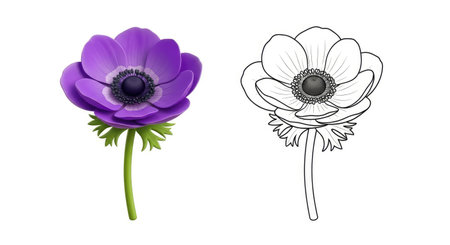 Kids Cartoon Anemone Flower Coloring Page Fun Educational Drawing for Childrenのイラスト素材