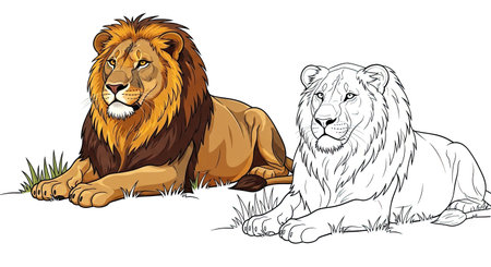 Lion and Lioness Coloring Page for Children and Adults Detailed African Wildlife Illustrationのイラスト素材