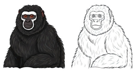 Amazonian Saki Monkey Primate Coloring Page with Detailed Line Art and Full Color Exampleのイラスト素材