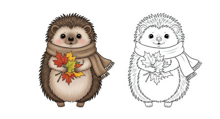 Hedgehog with Scarf and Leaves Autumn Coloring Sheet for Kids Fun Fall Nature Activityのイラスト素材