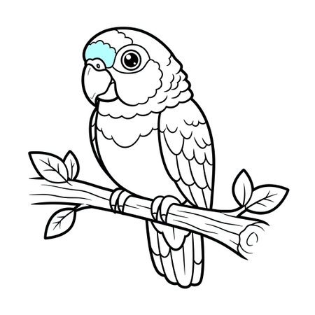 Charming Anime Turquoise-fronted Amazon Parrot Coloring Page for Children Line Art