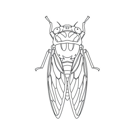 Charming Anime Style Amazon Cicada Coloring Page for Children Adorable Rainforest Insect Fun