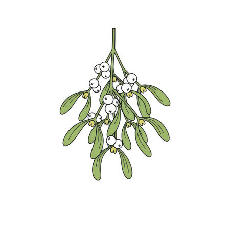 Romantic Retro Mistletoe Sprig Clip Art Light Green White Festive Design Elementのイラスト素材