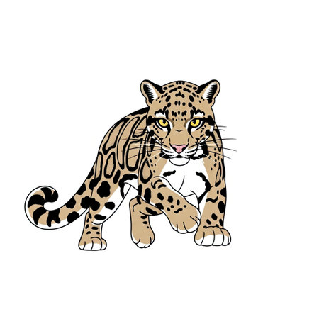 Minimalist clouded leopard character with a stealthy look preparing for a playful pounce in a modern...