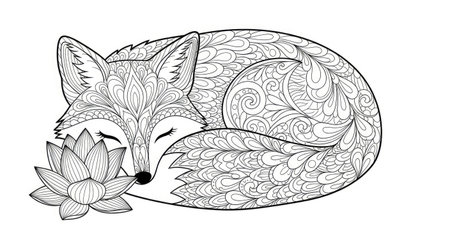 Zen Doodle Fur Whimsical Sleeping Fox Adult Coloring Art Therapy Pageのイラスト素材
