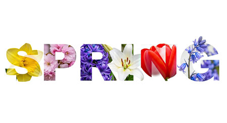 A beautiful display of the spring season featuring a variety of vibrant flowers arranged to form the alphabet, showcasing the rejuvenation and color of nature during this time of year.の写真素材