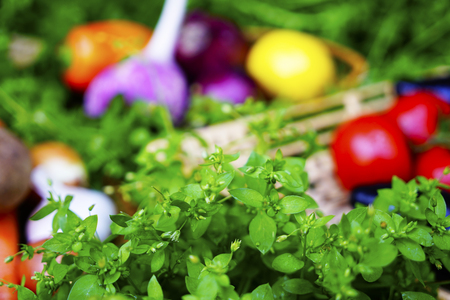 different ripe vegetables on wicker plates on the grass. healthy foodsの写真素材