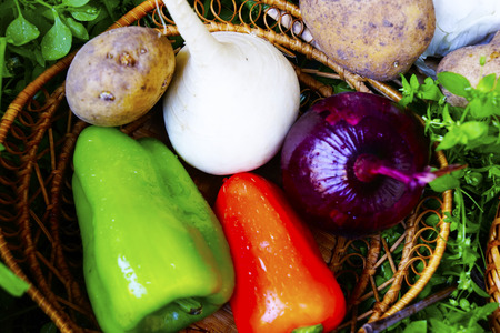 different ripe vegetables on wicker plates on the grass. healthy foodsの写真素材