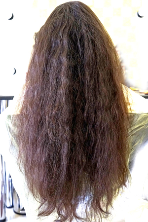Beautiful wedding hairstyle. The bride's hairstyle in the beauty salon. Rear view.の写真素材