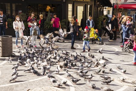 BAKU, AZERBAYJAN-03 MAY 2017 : People feeding domestic pigeons in the street in Baku cityのeditorial素材