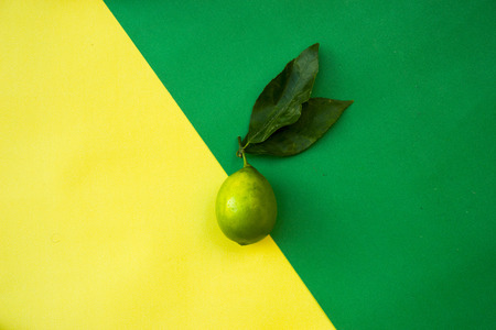 Yellow lemons on yellow green pastel background, concepts,summer ideas of fruit, vegetable, healthy eating lifestyle, flat lay, copy spaceの写真素材