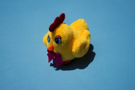 Shrilling Chicken squeaky toy . toy rubber shriek yellow chicken isolated on blue background