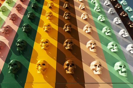 A collection of multi-colored skulls laid out in a line. Halloween concept.の写真素材