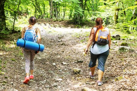 view from the back of a two woman tourist with a backpack walking through the woods