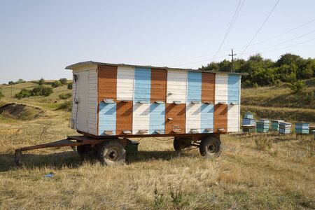 A lot of hives are standing on a car in the caucasus landscape