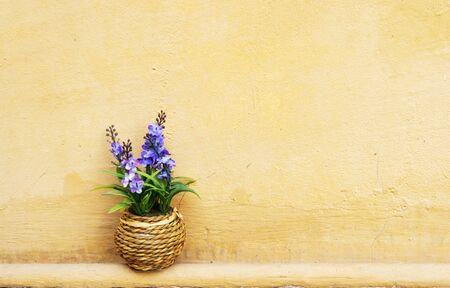 Violet flower with green leaves ( Artificial Flowers) In the pot, Placed on the floor and walls in...
