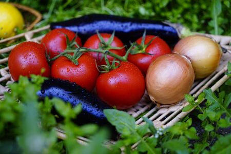 Composition with Various fresh vegetables, eggplants, onions,carrots, beets, tomatoes radishes, peppers on the green grass. The concept of healthy eating. Vegetarianism.の写真素材