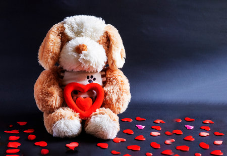 white and brown dog doll with red heart on black background.a symbol of love. Valentine's Day.の写真素材