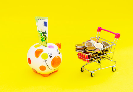 Mini shopping basket with coins and Piggybank and money toweron a yellow background. Finance and the concept of saving money. to save , saving money for affordable things, financial concept .Piggybank or deposit box on a red background, depict saving money to make a trust fund for children, teach them for saving habitの写真素材