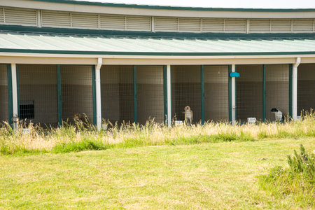 A large stray dog in a cage. Homeless dog. Dog shelter