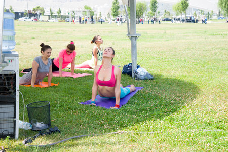 Baku, Azerbayjan, 23 july 2017: big group of adults attending a yoga class outside in parkのeditorial素材