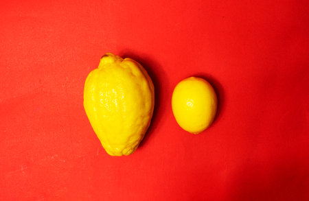 Juicy ripe lemons on a red background. A creative food concept. Tropical organic fruits, citrus fruits, vitamin C. Whole lemon. Summer minimalistic bright fruit backgroundの写真素材