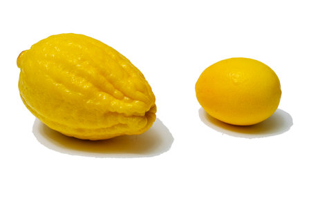 Juicy ripe lemons on a white background. A creative food concept. Tropical organic fruits, citrus fruits, vitamin C. Whole lemon. Summer minimalistic bright fruit background.の写真素材