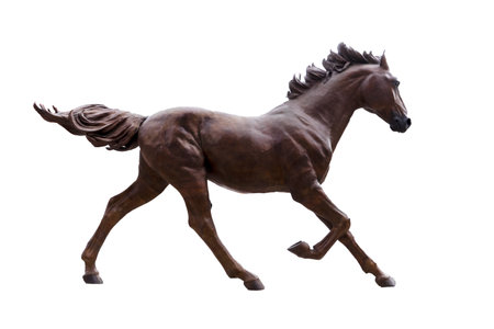 Dark stallion horse isolated on white background.の写真素材