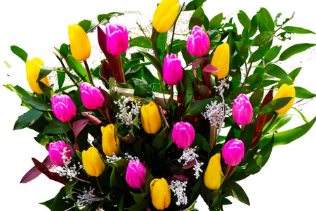 Bouquet of yellow and lilac tulips on a white backgroundの写真素材