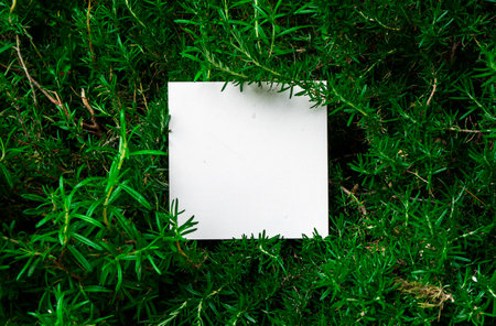 Creative layout made of green leafs with paper card note. Flat lay. Nature concept.の写真素材