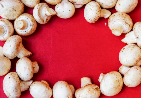 Mushrooms and champignons on a red background View from above. Delicious and healthy mushrooms are grown at home. Fresh raw mushroom. Food. Cooking. Veganismの写真素材