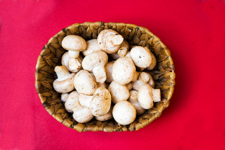 Mushrooms and champignons on a red background View from above. Delicious and healthy mushrooms are grown at home. Fresh raw mushroom. Food. Cooking. Veganismの写真素材