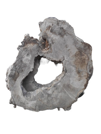 cut of a tree on a transparent background. piece of wood in cross section with wood texture pattern isolated on a white background. Detailed organic surface.の写真素材
