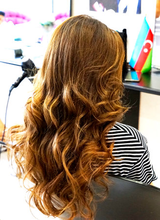 Beautiful wedding hairstyle. The hairstyle in the beauty salon. Rear view.の写真素材